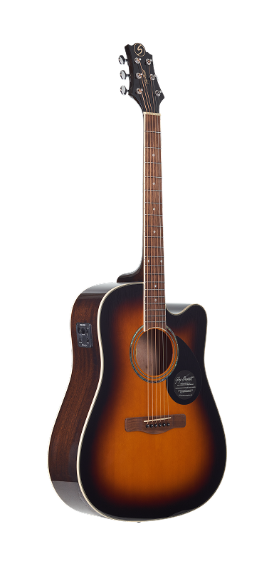 GD-100S